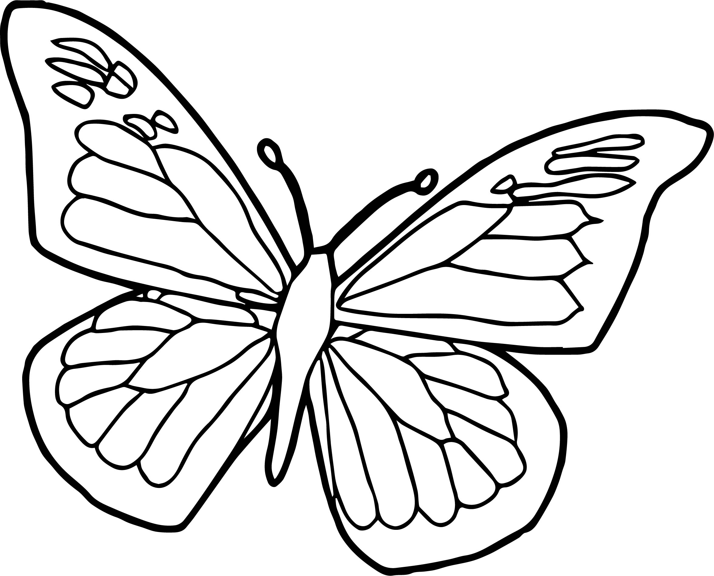 2351x1896 Unique Cartoon Butterfly Coloring Pages Design Printable