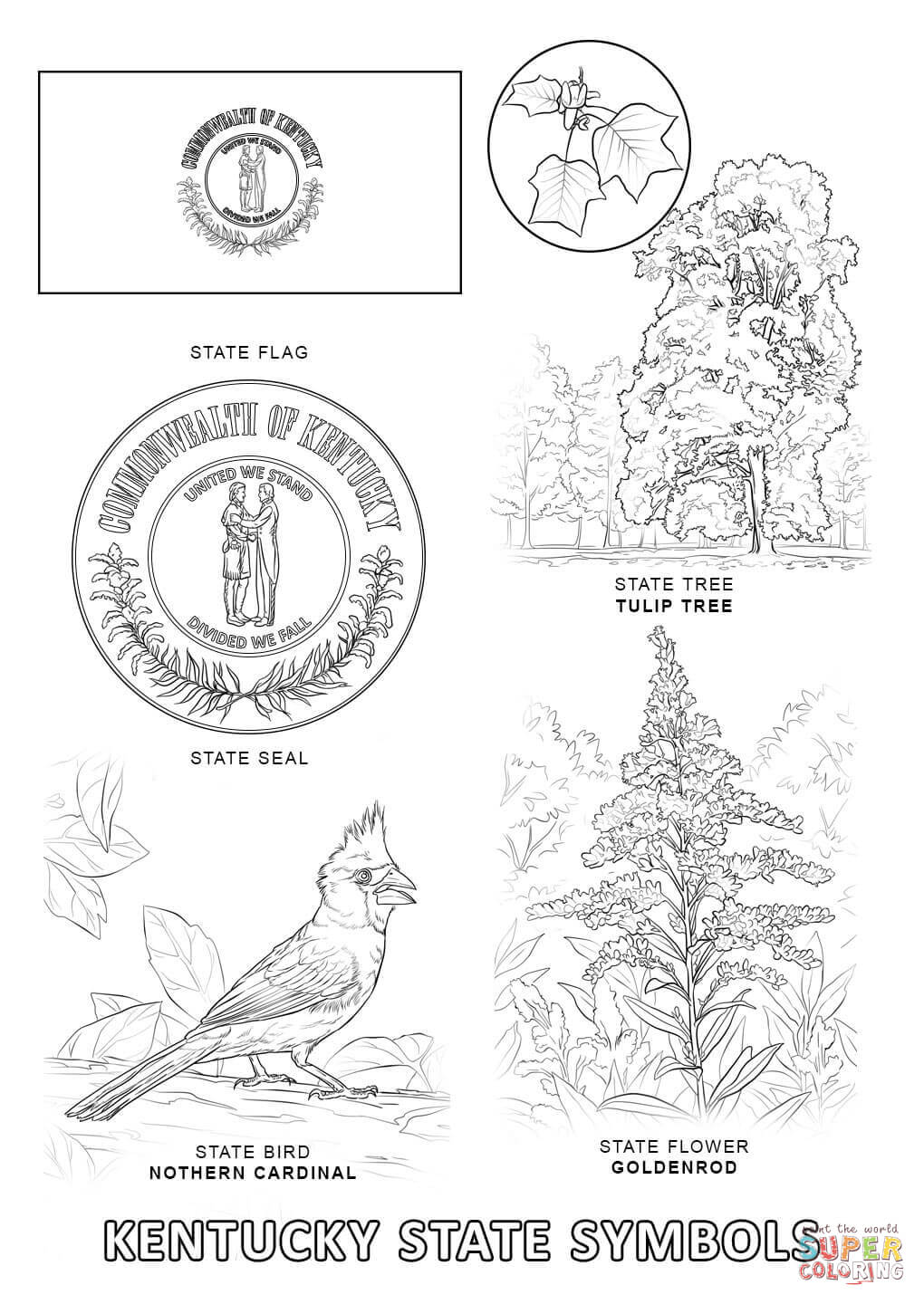 1020x1440 Kentucky State Symbols Coloring Page Free Printable Coloring Pages