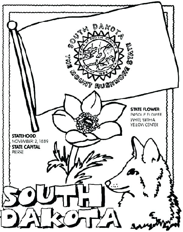 601x762 Arkansas Coloring Pages State Flower Coloring Page State Coloring
