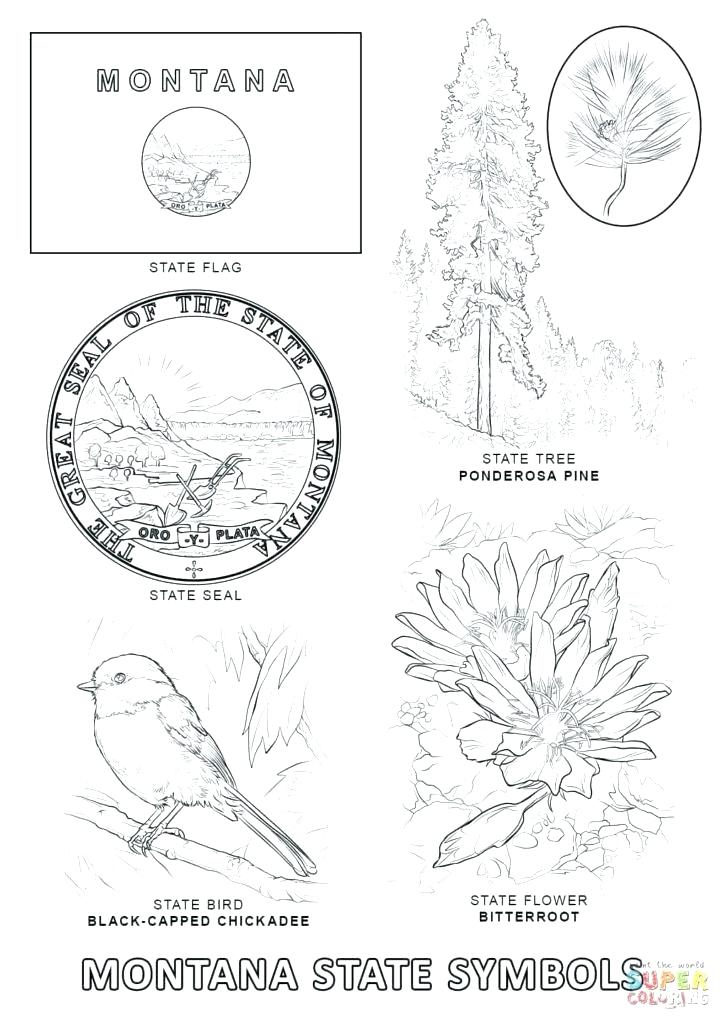 725x1024 Arkansas Coloring Pages State Symbols Coloring Pages State Symbols