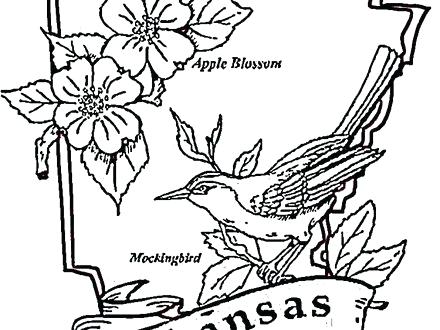 440x330 Plain Ideas College Football Coloring Pages Com Images Incredible