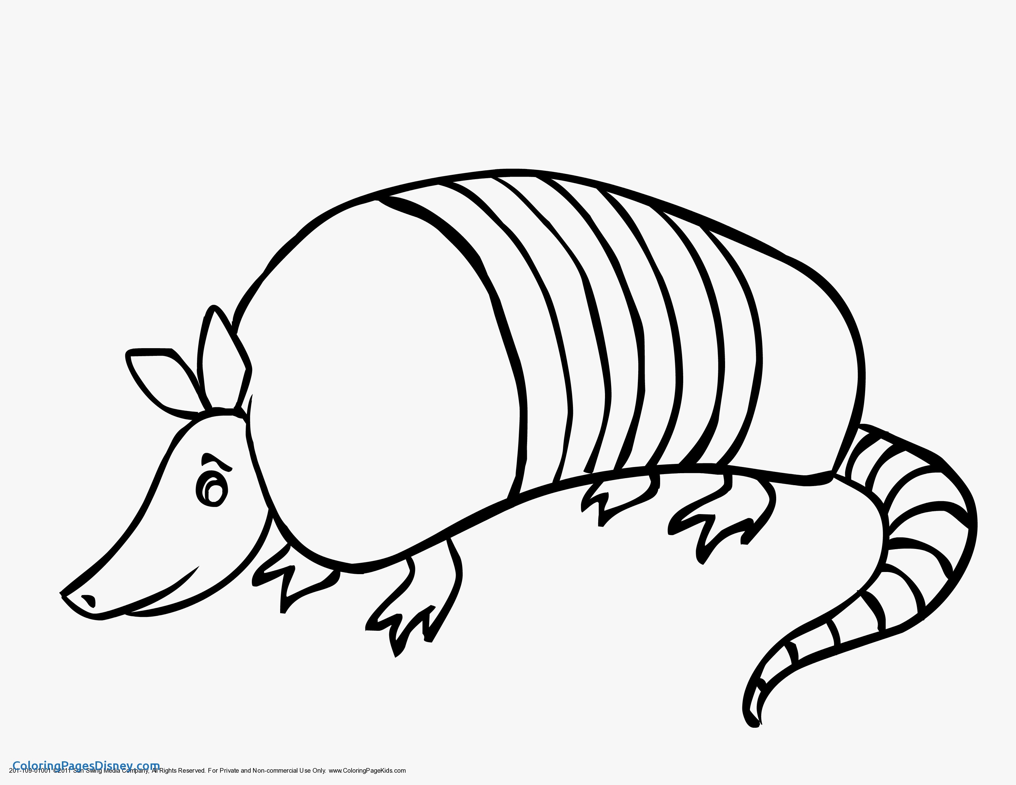 3300x2550 Armadillo Coloring Pages Beautiful Armadillo Coloring Printable