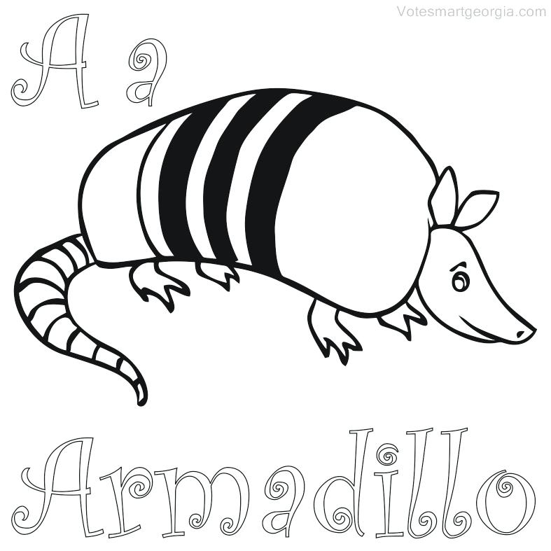 787x787 Free Printable Armadillo Coloring Pages For Kids Printables