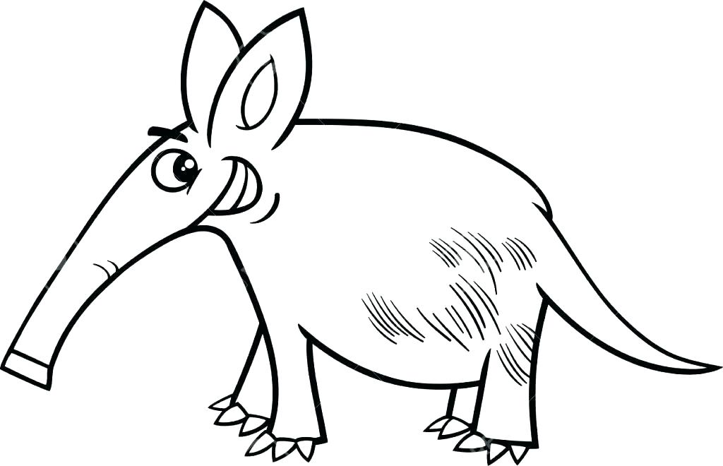 1024x660 Armadillo Coloring Page