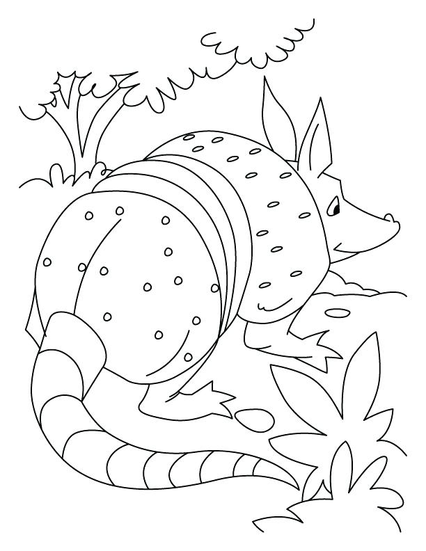 612x792 Armadillo Coloring Pages