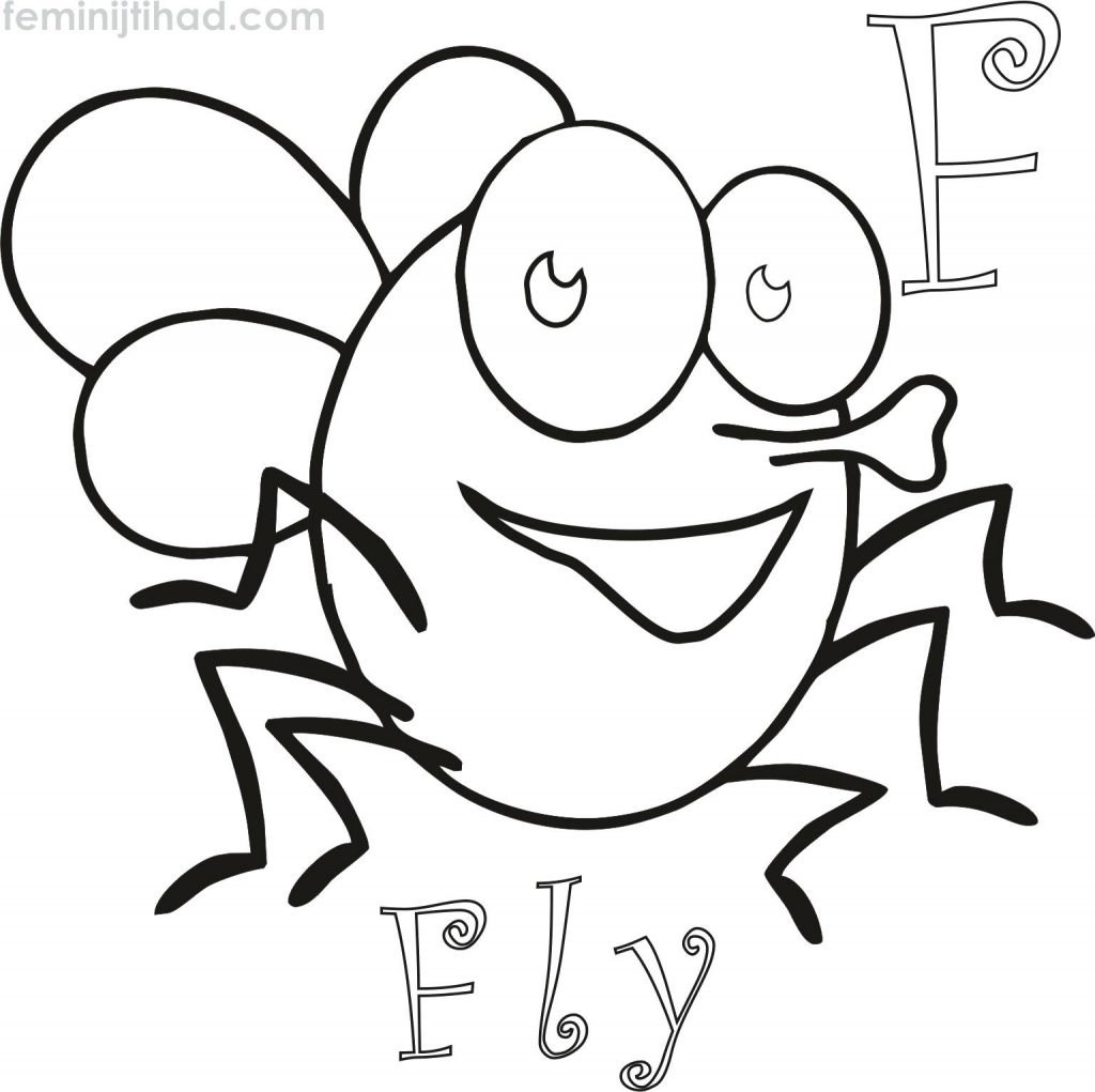 1024x1021 Coloring Page Armadillo Coloring Page Animated Fly Pages Free