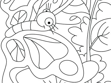 440x330 Butterfly And Rose Coloring Pages Colour A Google Art Class Page