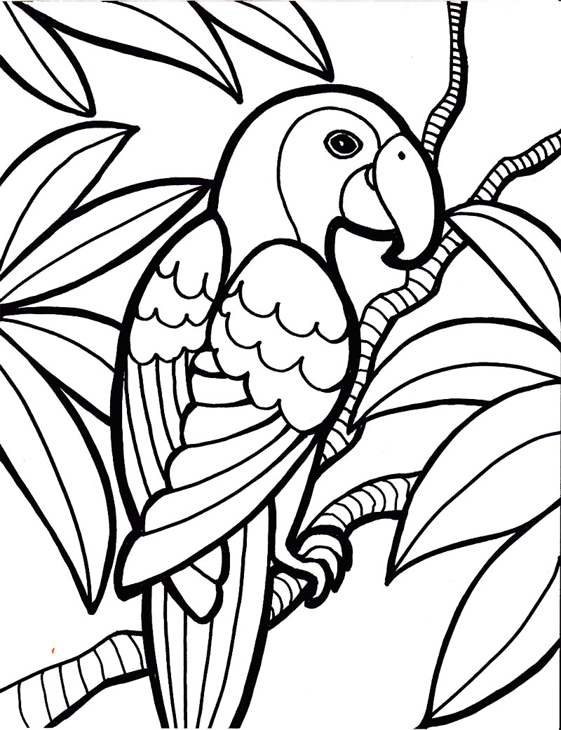 800x1041 Bird Coloring Pages Rallytv Org Amazing My Little Pony Pictures