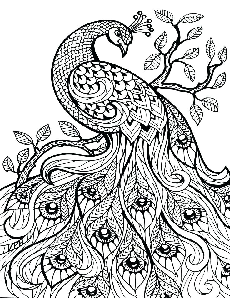 736x952 Free Adult Coloring Pages