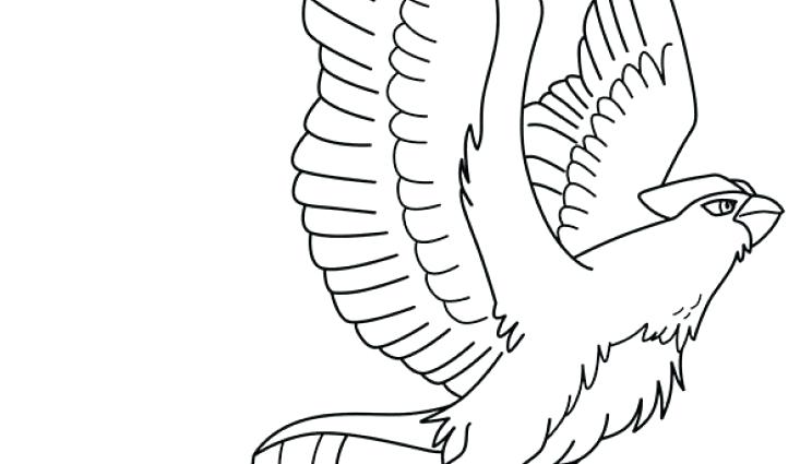 744x425 Articuno Pokemon Coloring Pages Ex Page X A Previous Image Next