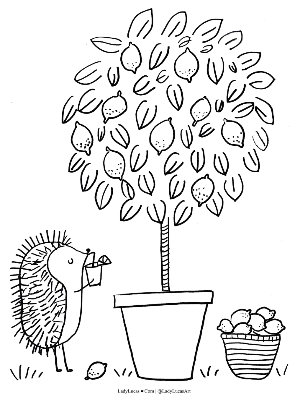 1000x1350 The Magical Garden Coloring Book Paperback