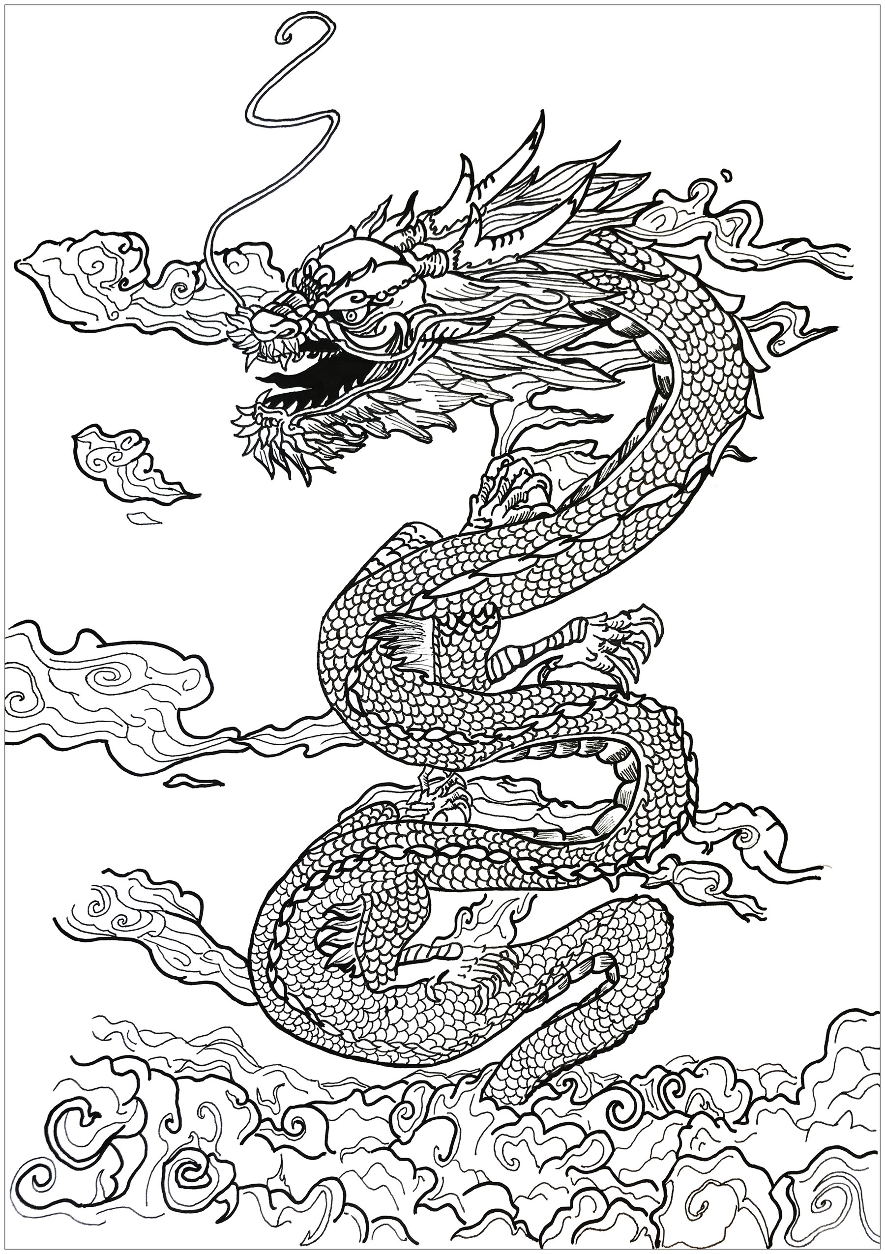 1800x2551 Dragon Asian Inspiration