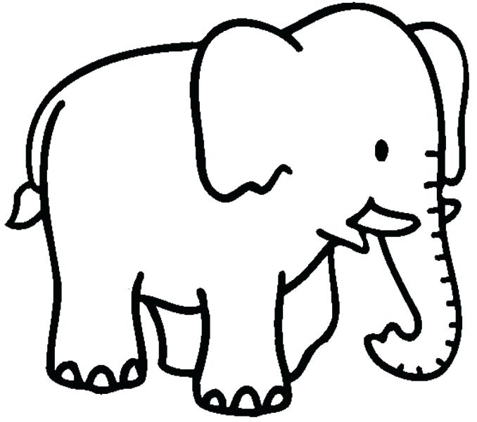 678x600 Elephant Color Page Asian Elephant Color Page
