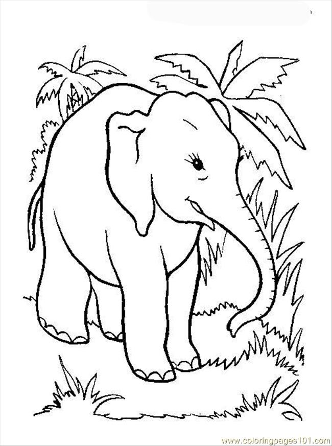 650x873 Elephant Coloring Page Coloring Page