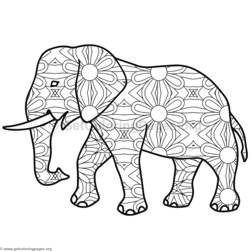 843x843 Elephant Coloring Pages