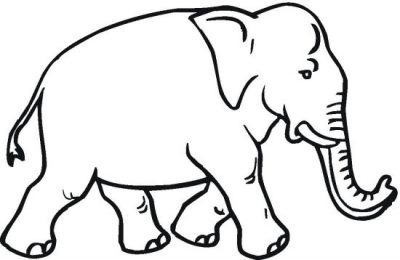 400x260 Elephant Coloring Pages