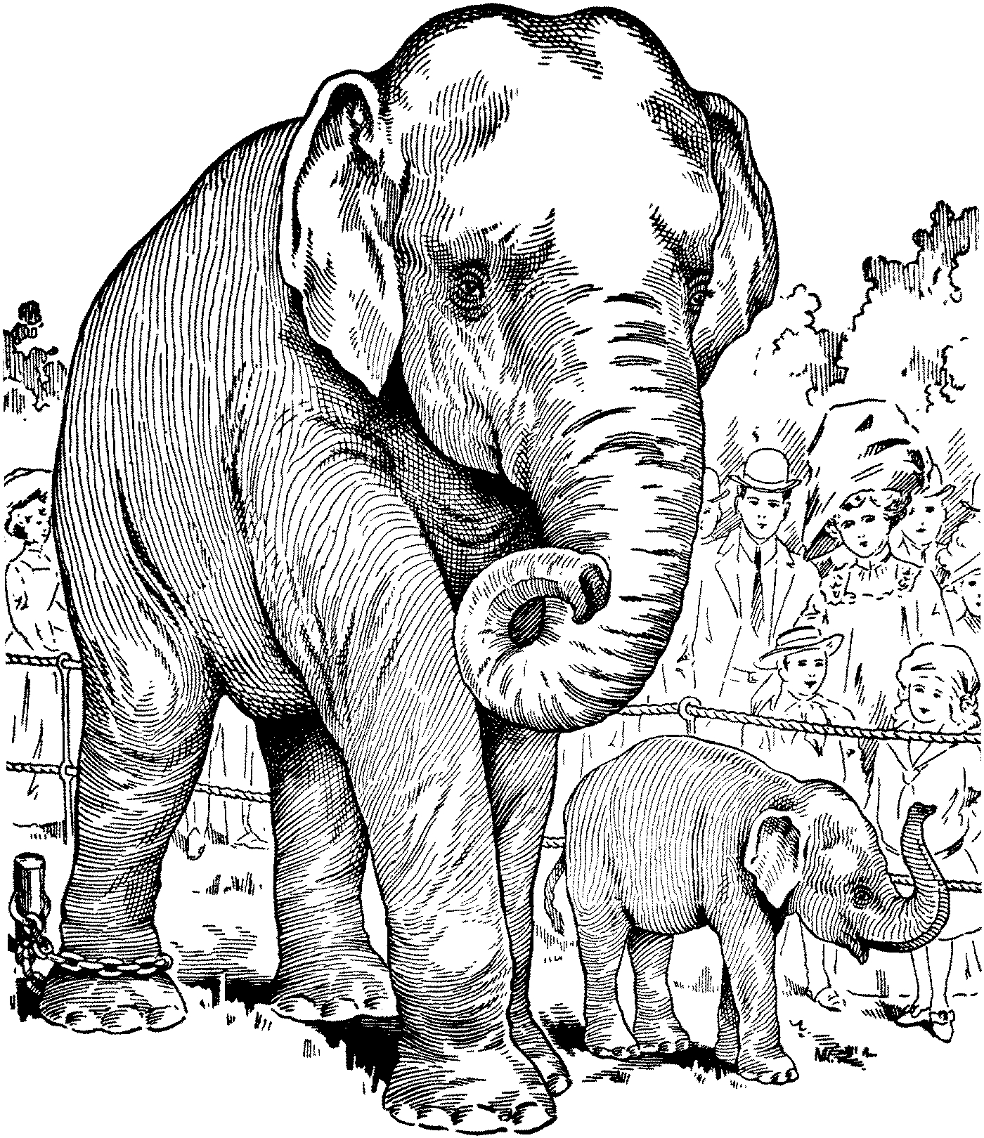 1400x1620 Security Asian Elephant Coloring Page Best