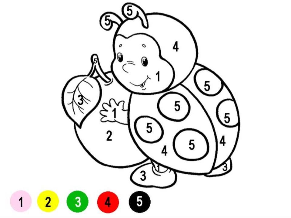 960x718 Bu Konusunu Tekrar Hayvanlar