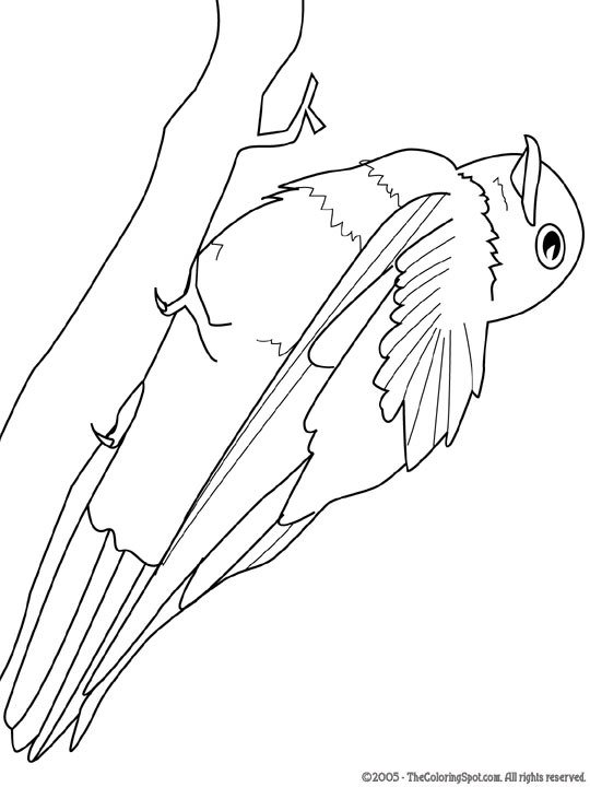 540x720 Purple Martin Coloring Page
