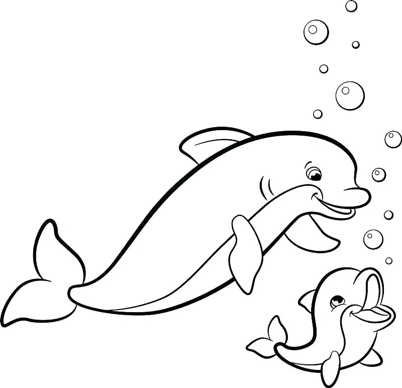 800x772 Aston Martin Coloring Sheets Dolphin Tale Pages Coral Colouring