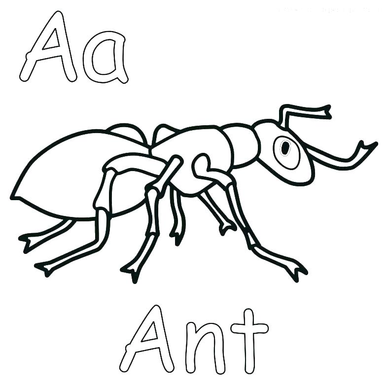 787x787 Coloring Man Coloring Page Ant Pages Sheet Printable Atom Farm