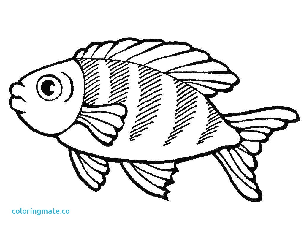 1024x768 August Coloring Pages Unique Pimg Of Coloriafes Disney