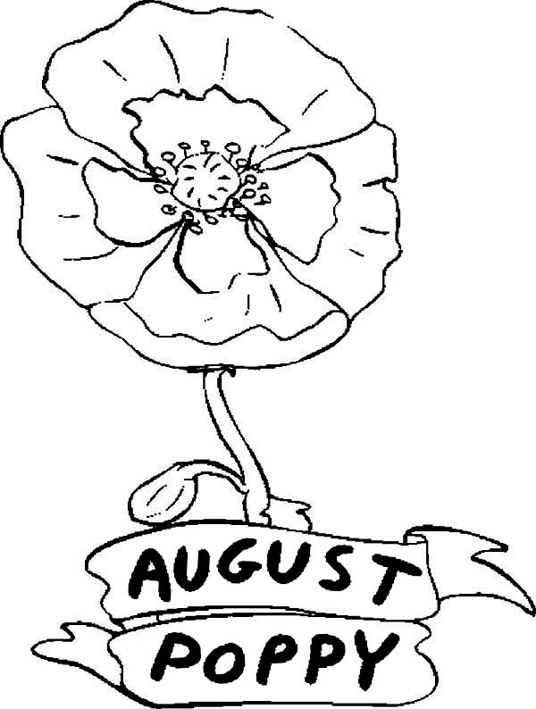600x794 Poppy Flower In August Coloring Page Color Luna