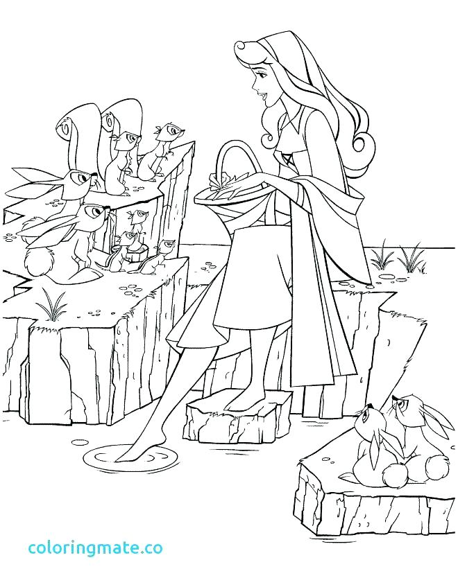 660x847 Princess Aurora Pictures To Color