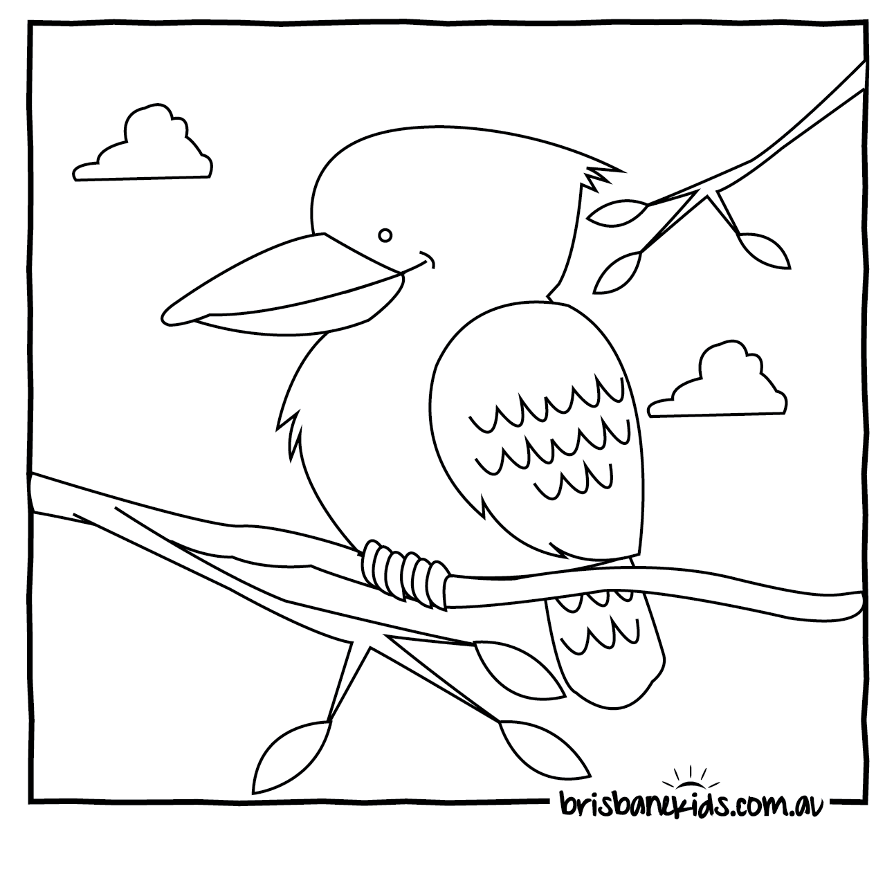 1292x1292 Australian Animals Colouring Pages Brisbane Kids