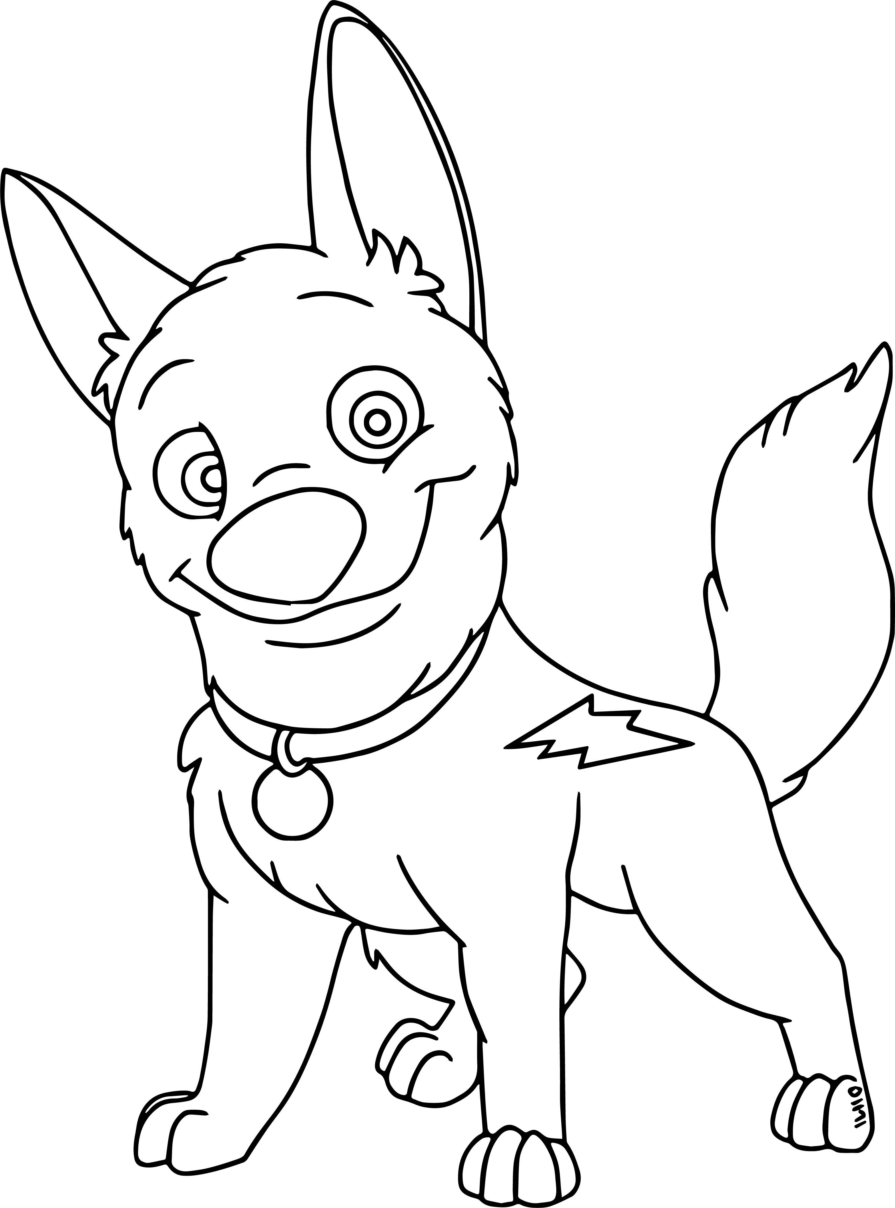 3131x4226 Fascinating Australian Cattle Dog Coloring Page Printable