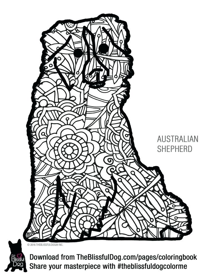 736x952 Shepherd As Well As Coloring Book Mini Australian Shepherd