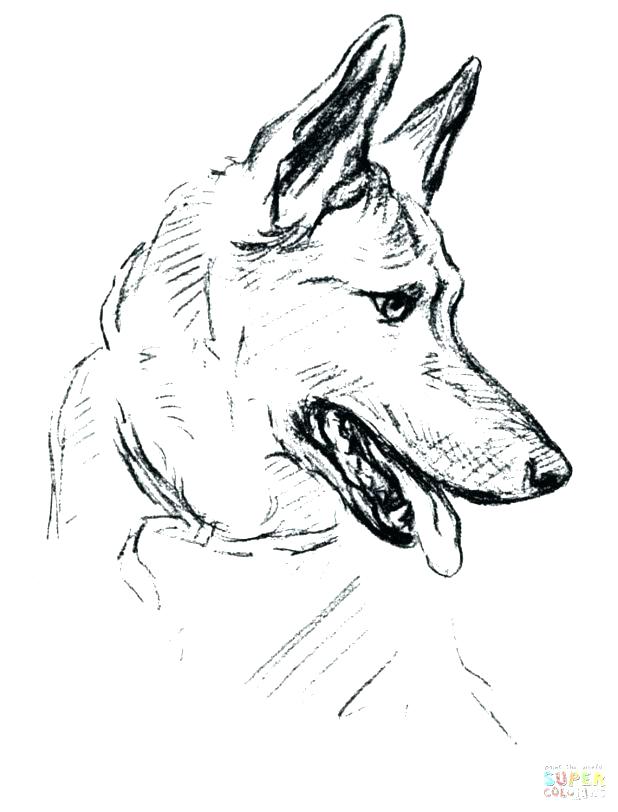 618x812 Shepherd Coloring Pages Lord Is My Shepherd Coloring Page