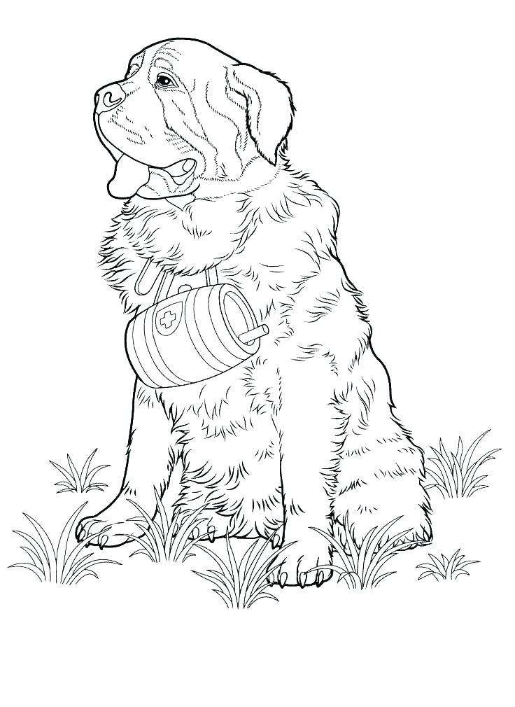 736x1010 Shepherd Coloring Pages Realistic German Shepherd Coloring Pages