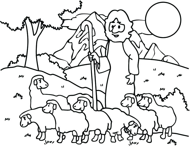 800x617 Australian Shepherd Coloring Pages Affordable Good Shepherd