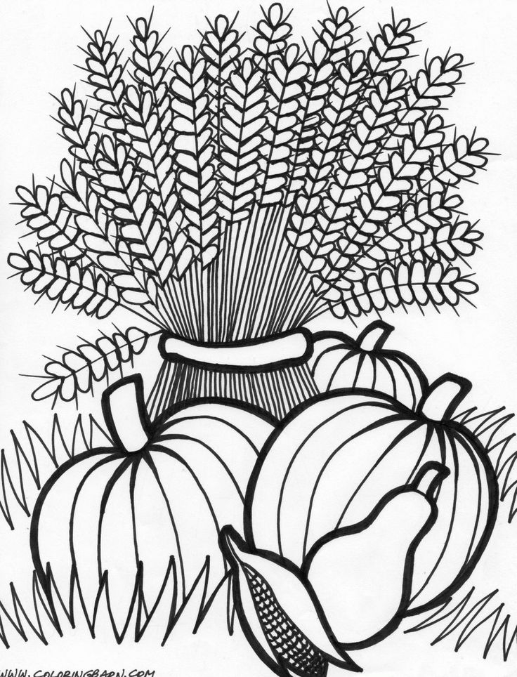 736x964 Autumn Flowers Adult Coloring Pages Free