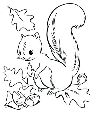 327x400 Fall Coloring Pages For Kids Autumn Coloring Pages Coloring Pages
