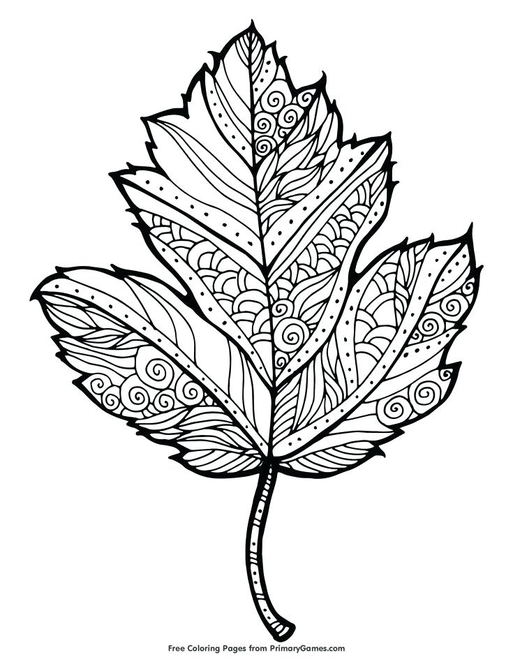 735x951 Coloring Pages Autumn Coloring Pages For Adults