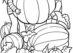 250x180 Kindergarten Fall Worksheets Free Printables