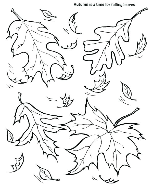 600x734 Falling Leaves Coloring Pages Autumn Leaves Coloring Pages Fall