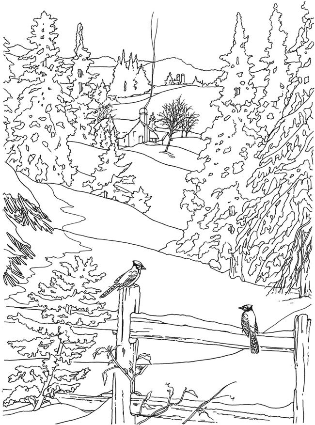 650x877 Winter Landscape Coloring Pages On Coloring Book Flip Through