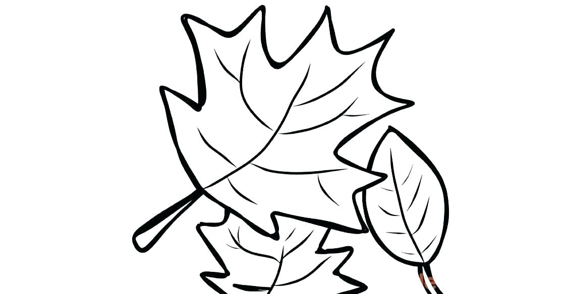 1120x584 Coloring Pages For Fall Printableutumn Coloring Pages Taking