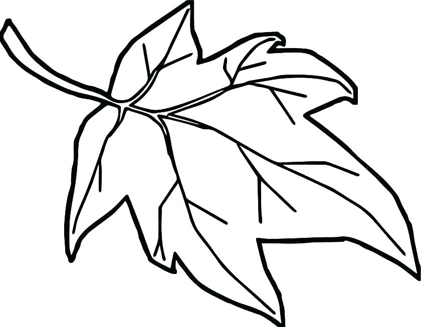 840x653 Fall Themed Coloring Pages Leaf Coloring Pages For Preschool Fall