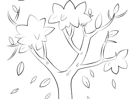440x330 Coloring Pages Of Trees Without Leaves Coloring Page Tree Coloring