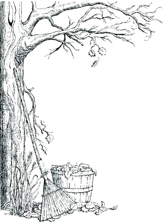 529x722 Coloring Pages Tree Fall Tree Coloring Pages Trees Coloring Pages