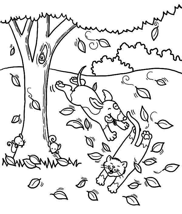 600x705 Dog Run After Cat Under Fall Leaf Coloring Page Color Luna