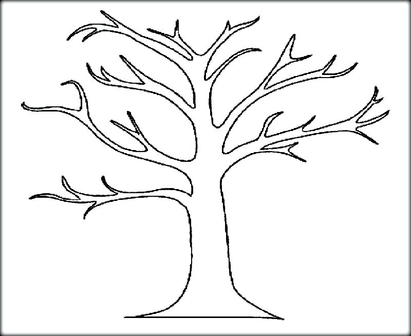 800x654 Tree Coloring Pages Fall Tree Coloring Page Bare Tree Coloring