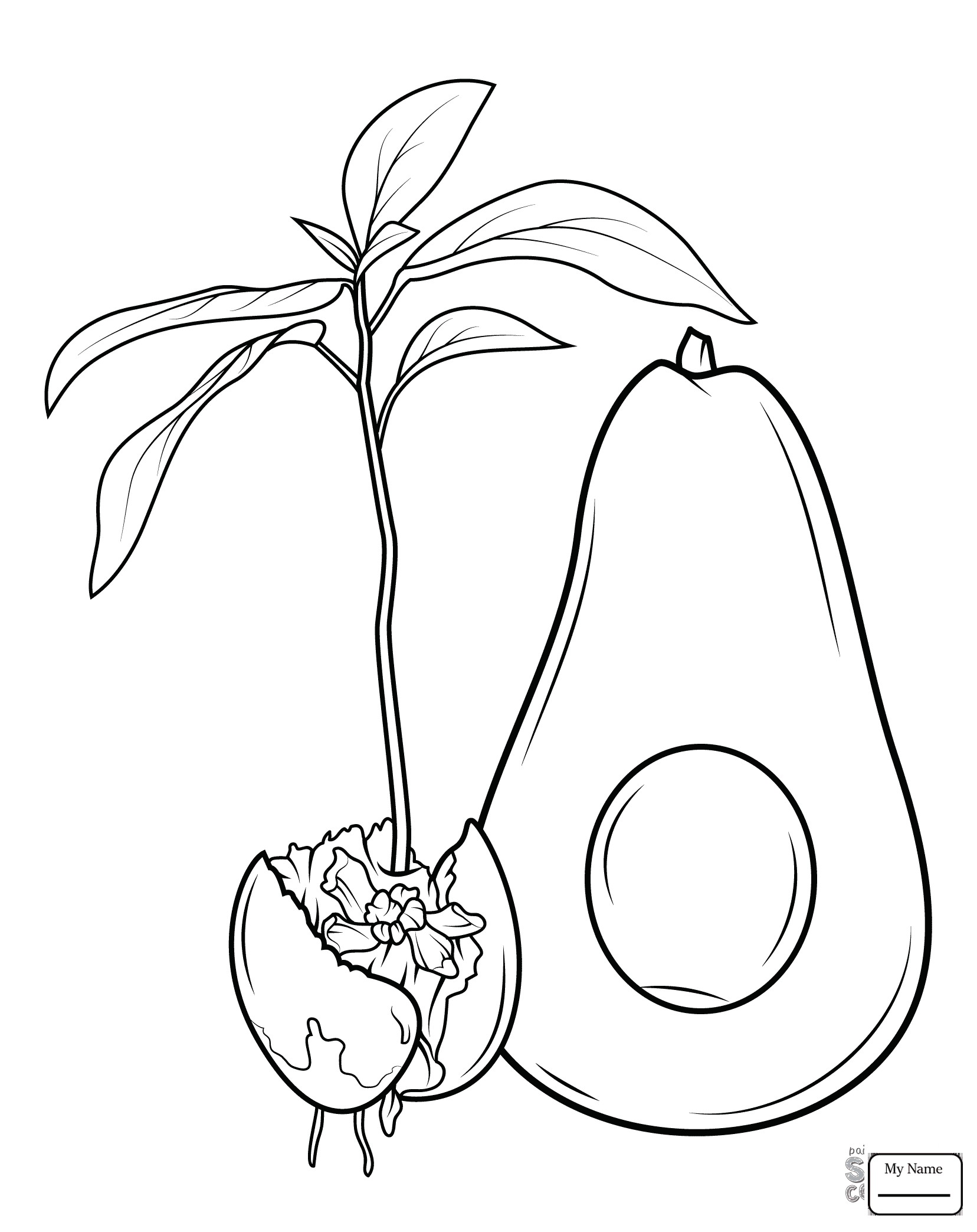 1656x2087 Avocados Fruits Coloring Pages For Kids Best Of Coloring Pages