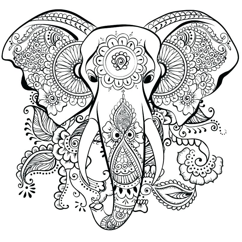 805x806 Elephants Coloring Pages Awesome G Page Elephant Image Pages