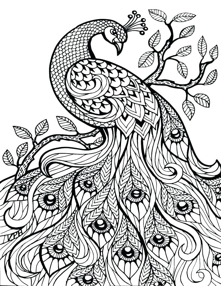 736x952 Extraordinary Best Printable Coloring Pages Awesome Coloring Pages