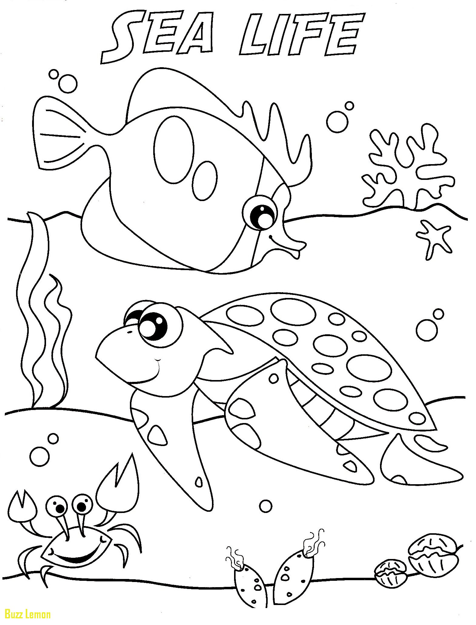 1572x2064 Awesome Coloring Page Under The Sea Buzz Coloring
